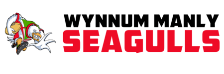 Seagulls Store